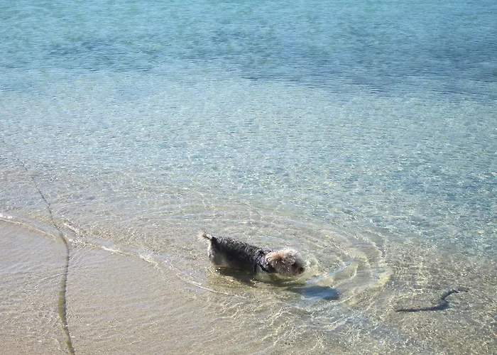 Aggeliki's Diamond 4* Agia Anna (Naxos)